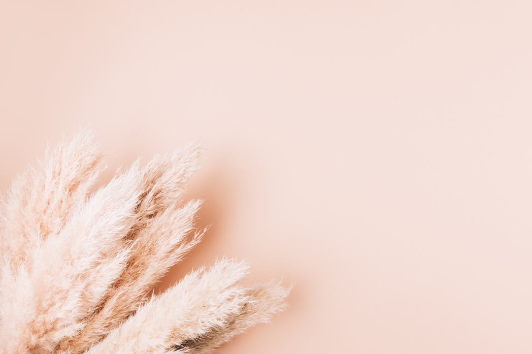 Dried Pampas Grass